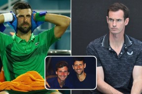  德约科维奇关键节点赛事规则更新，TES带队取胜！-开云注册送彩金